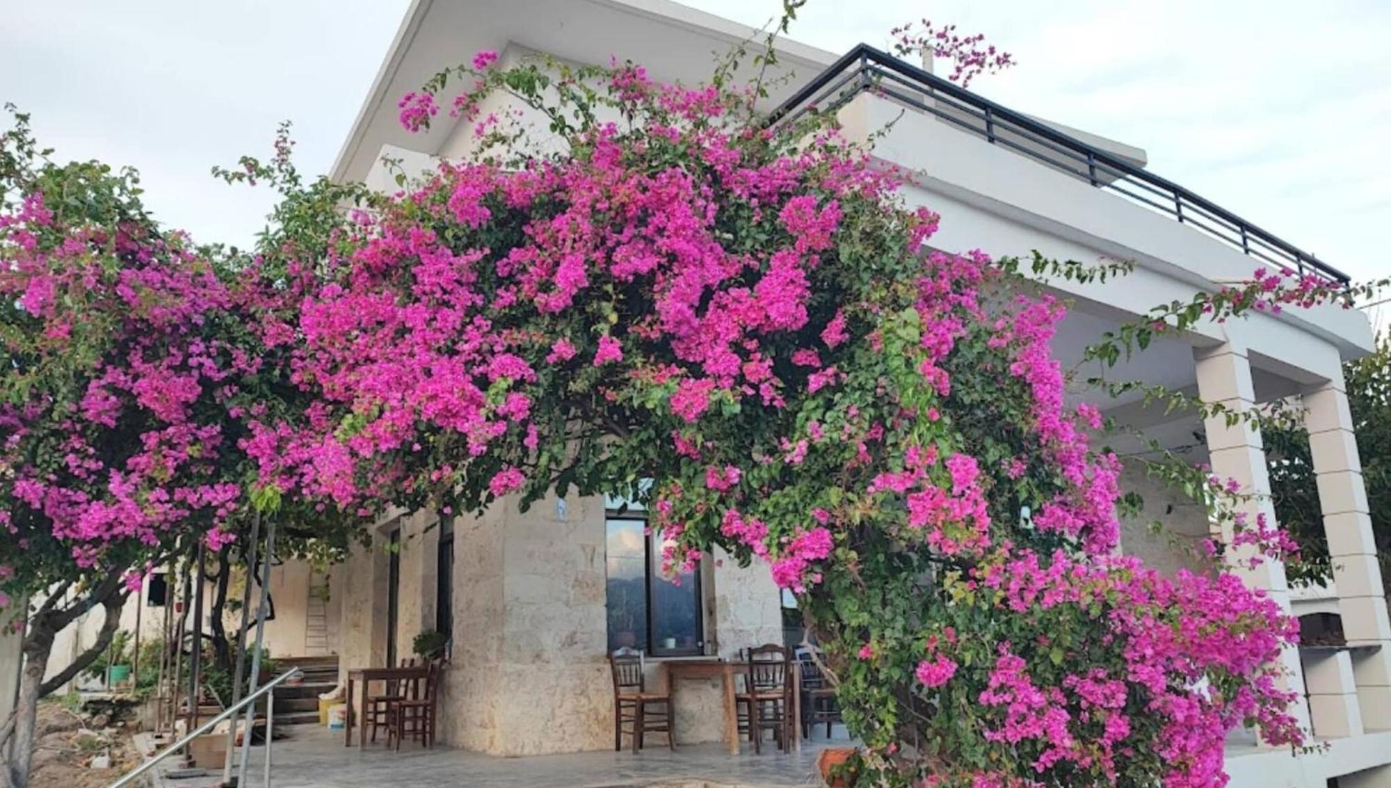 Glikanisos House Nipos - Ideal For Hikers And Families 2Bd, 6Pl 10Min To Beach Exterior photo